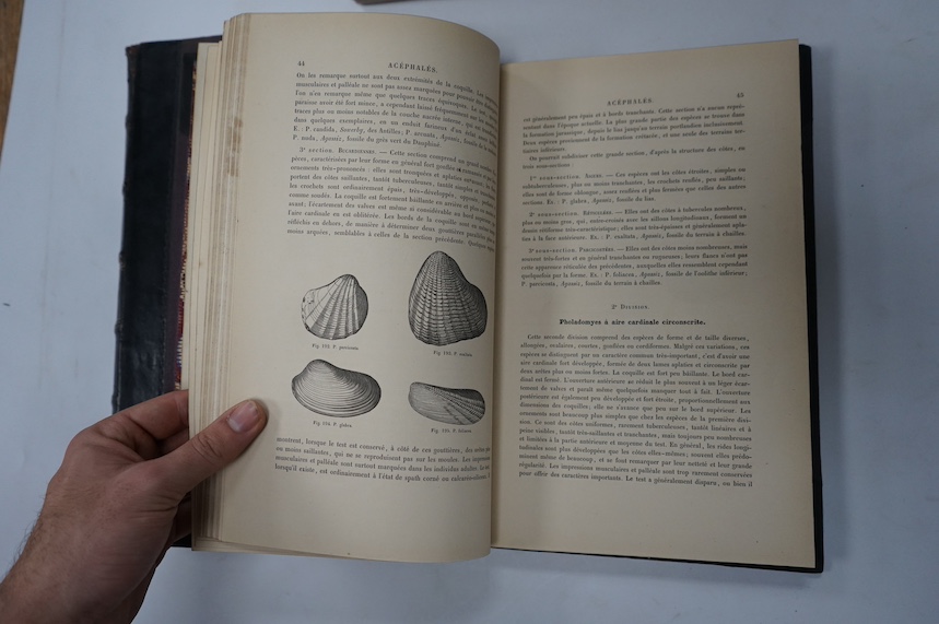 Chenu, Jean Charles - Manuel de Conchyliologie et de Paleontologie Conchyliologique, 2 vols. in 1, 4to, cloth, with 4945 lithographic illustrations of which a few are coloured, Victor Masson, Paris, 1859-62 and a further